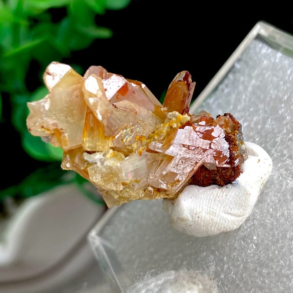 Translucent yellow-amber cerussite crystals in a display box — detail view