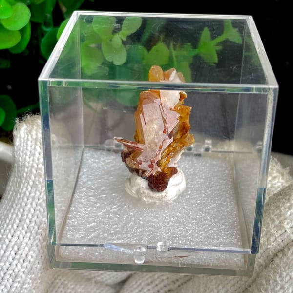 Translucent yellow-amber cerussite crystals in a display box — detail view