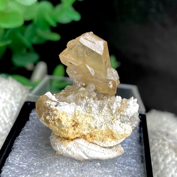 Translucent yellow cerussite crystal on a pale base in a box — complete view