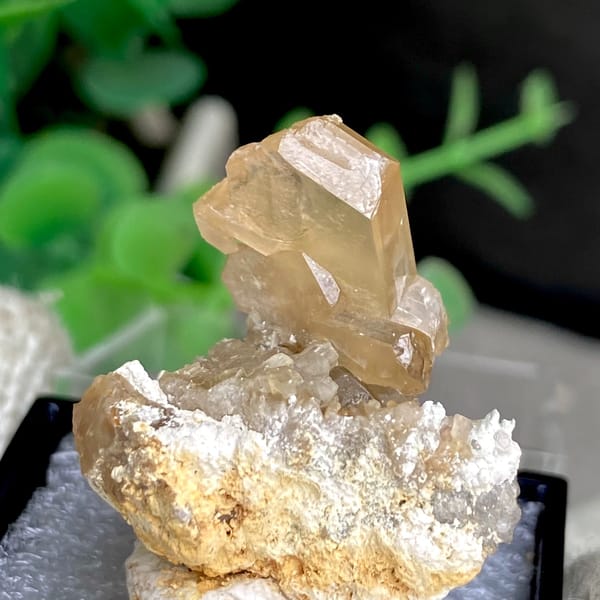 Translucent yellow cerussite crystal on a pale base in a box — alternate view