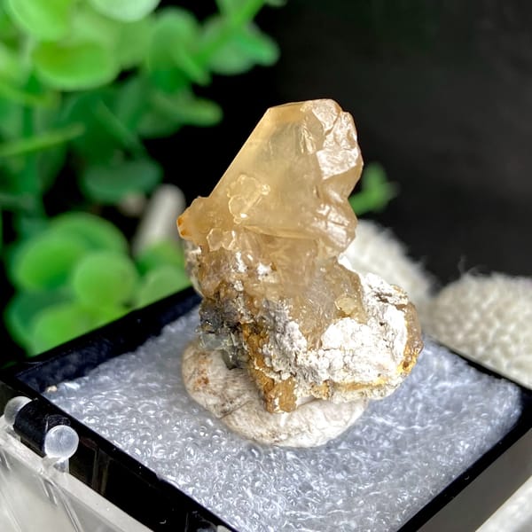 Translucent yellow cerussite crystal on a pale base in a box — detail view