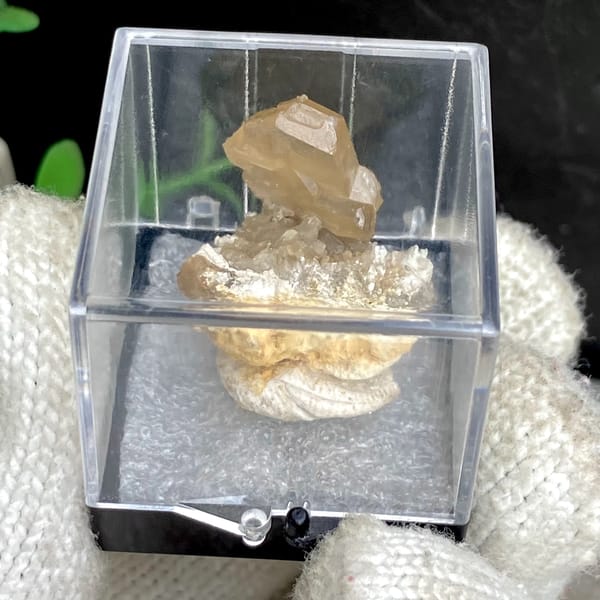 Translucent yellow cerussite crystal on a pale base in a box — detail view