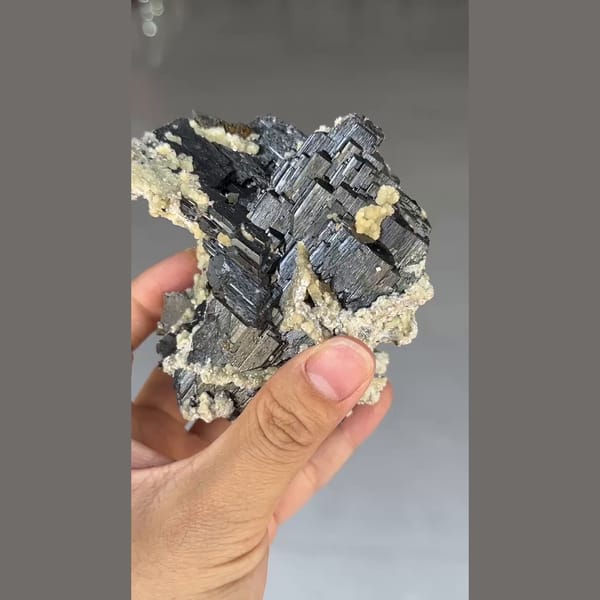 Large black wolframite blades with mica and chalcopyrite from Yaogangxian, Hunan — complete view
