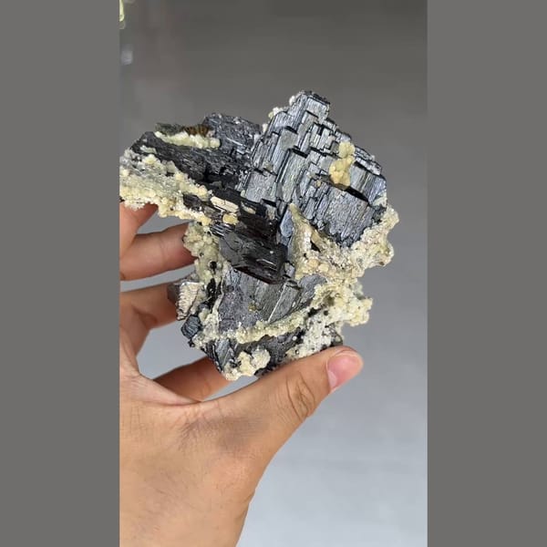 Large black wolframite blades with mica and chalcopyrite from Yaogangxian, Hunan — alternate view
