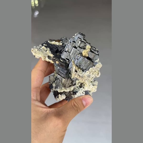 Large black wolframite blades with mica and chalcopyrite from Yaogangxian, Hunan — alternate view