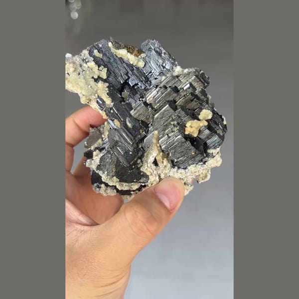 Large black wolframite blades with mica and chalcopyrite from Yaogangxian, Hunan — detail view
