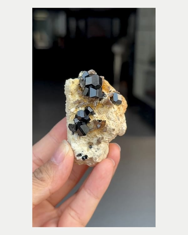 Complete front view of black tourmaline on quartz matrix