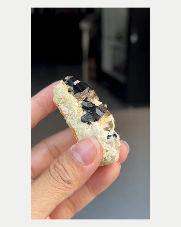Complete left oblique view of black tourmaline on quartz matrix