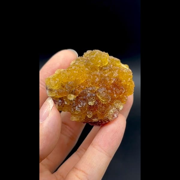 Glassy amber yellow fluorite cluster with purple zones from Henan — complete view