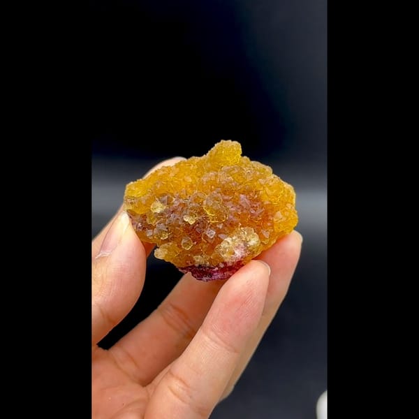 Glassy amber yellow fluorite cluster with purple zones from Henan — alternate view