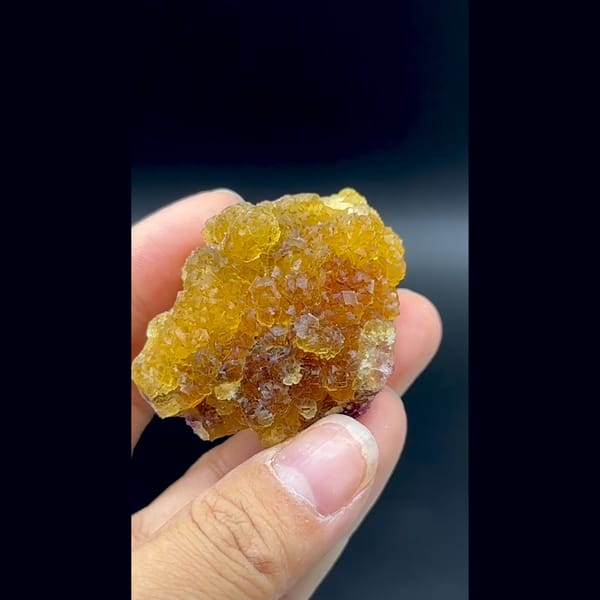 Glassy amber yellow fluorite cluster with purple zones from Henan — alternate view