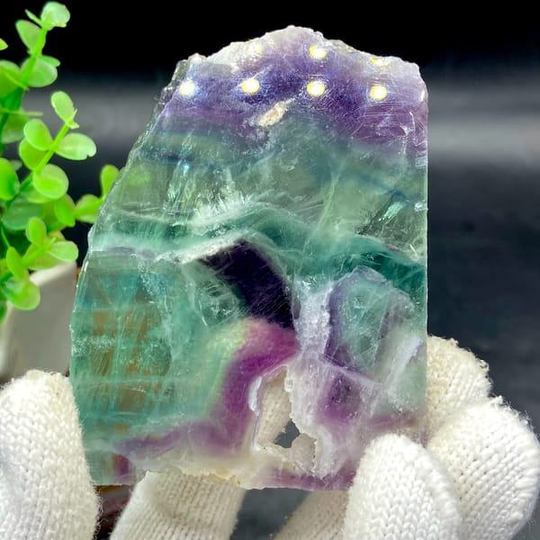 Polished fluorite slice banded in green, purple and clear — complete view