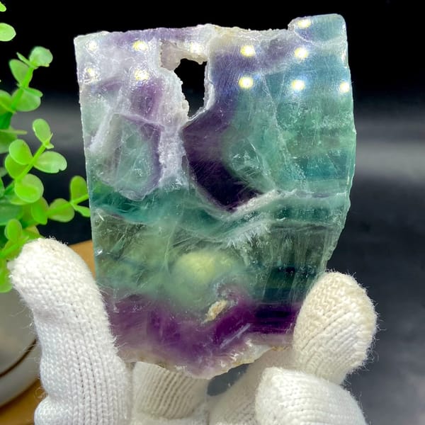 Polished fluorite slice banded in green, purple and clear — alternate view