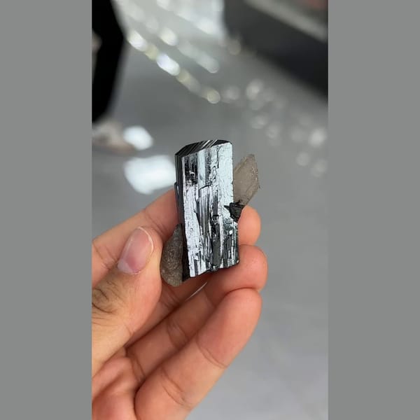 Lustrous striated black ilvaite crystals with quartz from Inner Mongolia — detail view