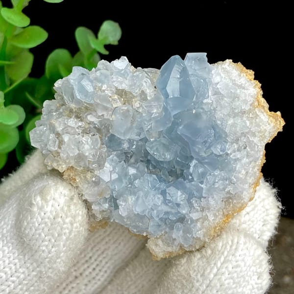 Pale sky-blue celestite crystal cluster — complete view