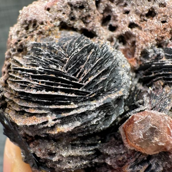 Frosted specular hematite rosettes with quartz on reddish matrix — alternate view