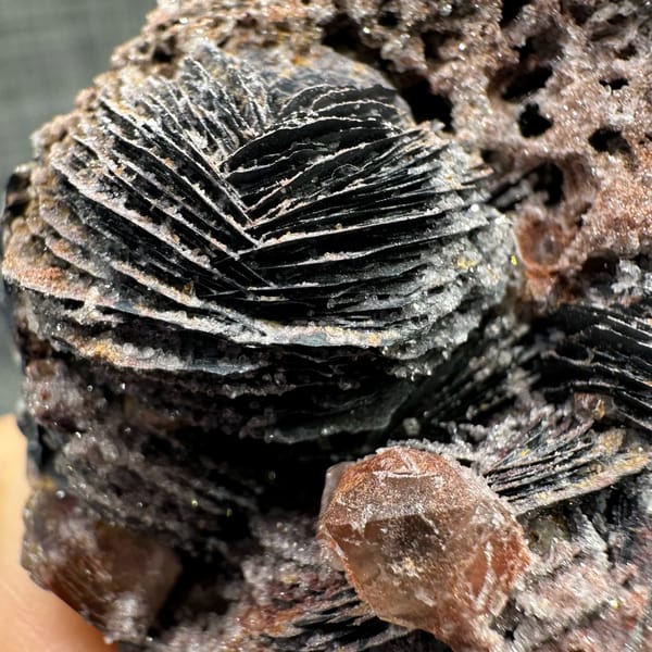 Frosted specular hematite rosettes with quartz on reddish matrix — detail view