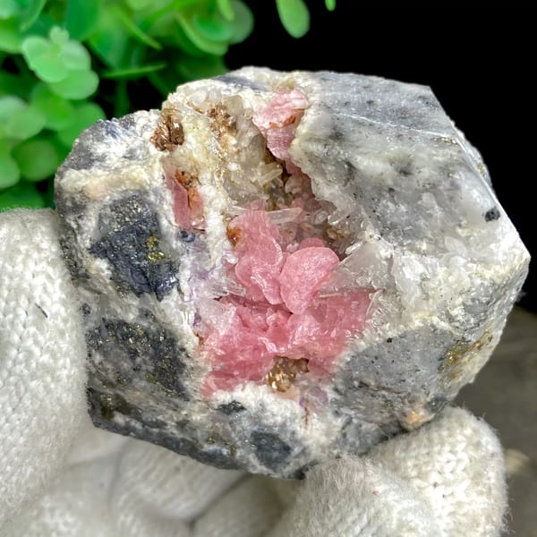 Bright pink rhodochrosite crystals with quartz on grey matrix — complete view