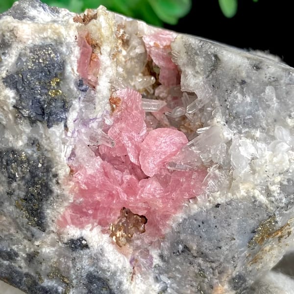 Bright pink rhodochrosite crystals with quartz on grey matrix — detail view