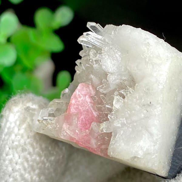 Pink platy rhodochrosite in white quartz — alternate view