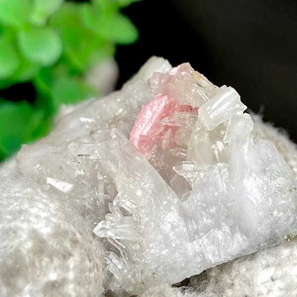 Pink platy rhodochrosite in white quartz — detail view