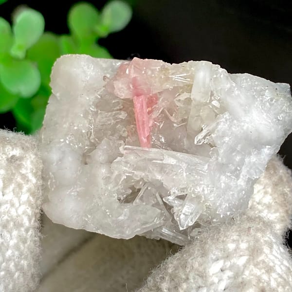 Pink platy rhodochrosite in white quartz — detail view