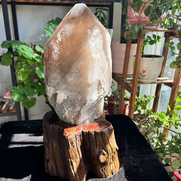 Tall skeletal smoky quartz crystal on a carved wood stand — complete view