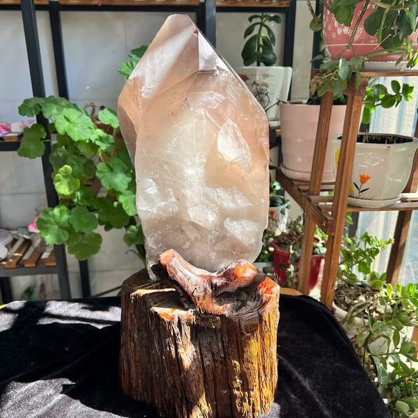 Tall skeletal smoky quartz crystal on a carved wood stand — alternate view