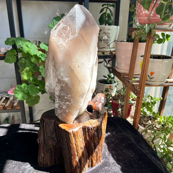 Tall skeletal smoky quartz crystal on a carved wood stand — alternate view