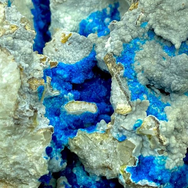 Deep blue veszelyite crystals on a large matrix — alternate view