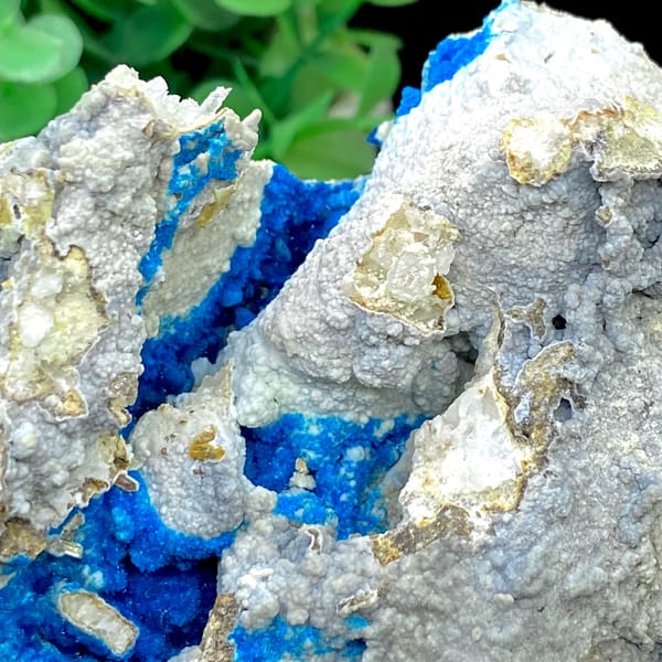 Deep blue veszelyite crystals on a large matrix — detail view