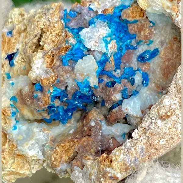 Deep blue veszelyite crystals on a tan matrix — detail view