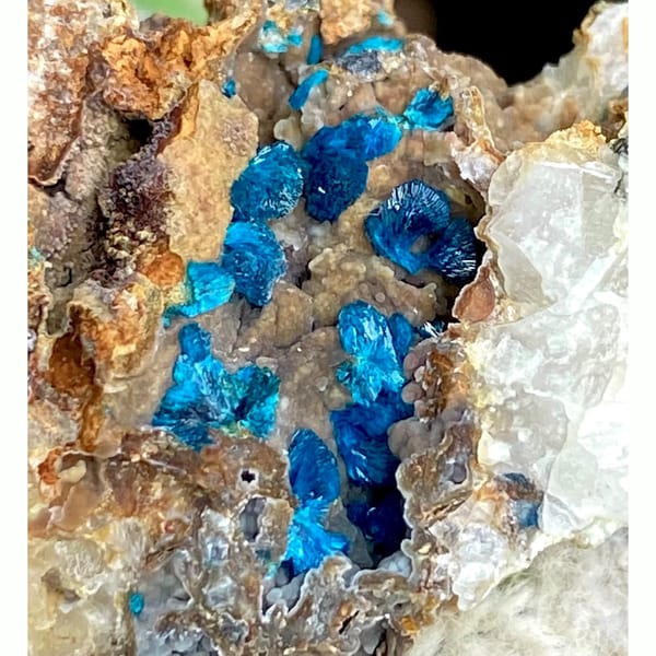 Seam of deep blue veszelyite crystals in tan matrix — complete view