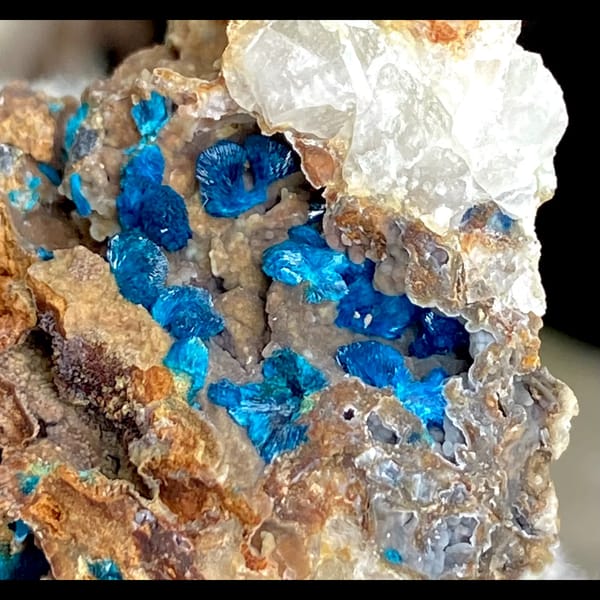 Seam of deep blue veszelyite crystals in tan matrix — alternate view