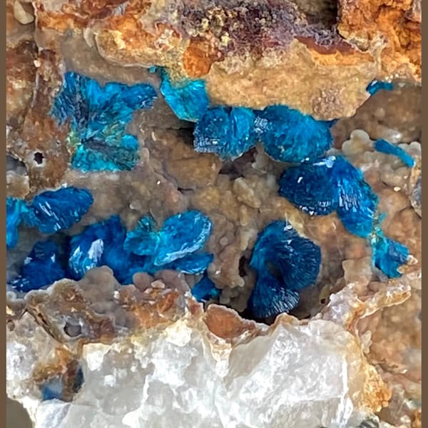 Seam of deep blue veszelyite crystals in tan matrix — alternate view