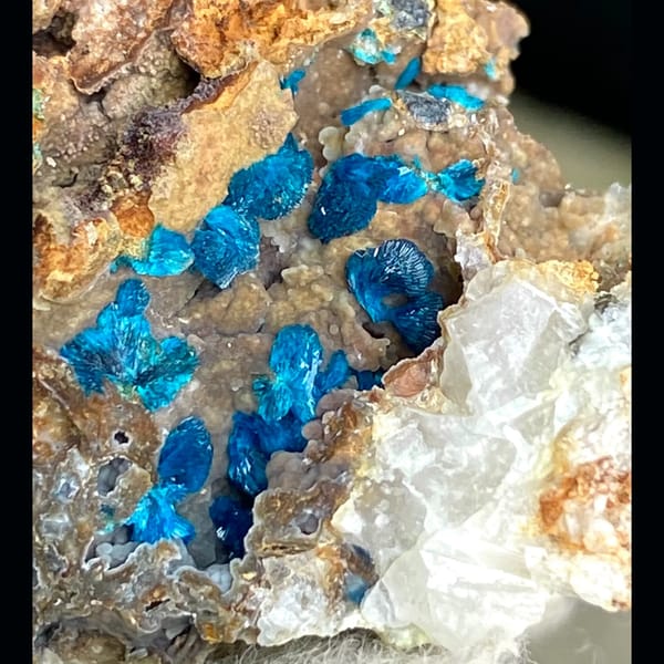 Seam of deep blue veszelyite crystals in tan matrix — detail view