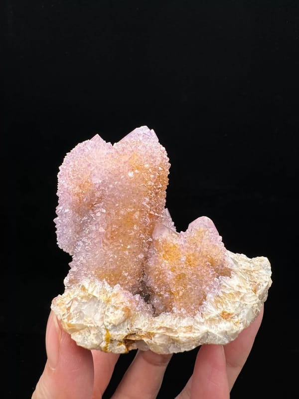 Five-Point Cactus Amethyst Cluster — South Africa — individual mineral specimen view 2