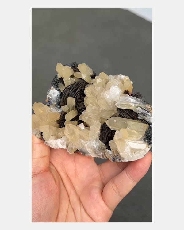 Complete left oblique view of specular hematite with quartz