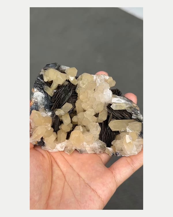 Complete reverse view of specular hematite with quartz