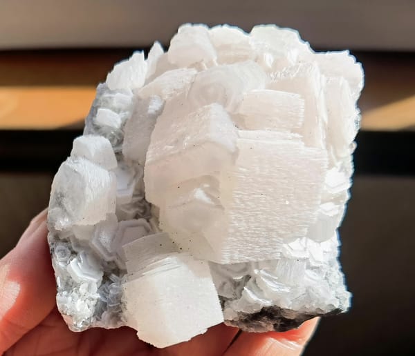 Pale Pink Coin Calcite Rosette Cluster — Fujian — individual mineral specimen view 1