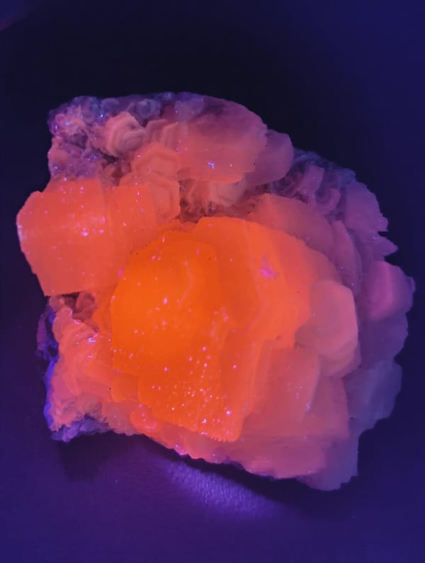 Pale Pink Coin Calcite Rosette Cluster — Fujian — individual mineral specimen view 2