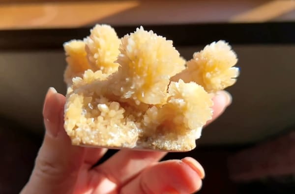 Complete left oblique view of the exact honey-gold crystallized specimen