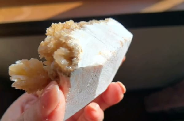 Complete underside view of the exact Yunnan crystallized mineral specimen