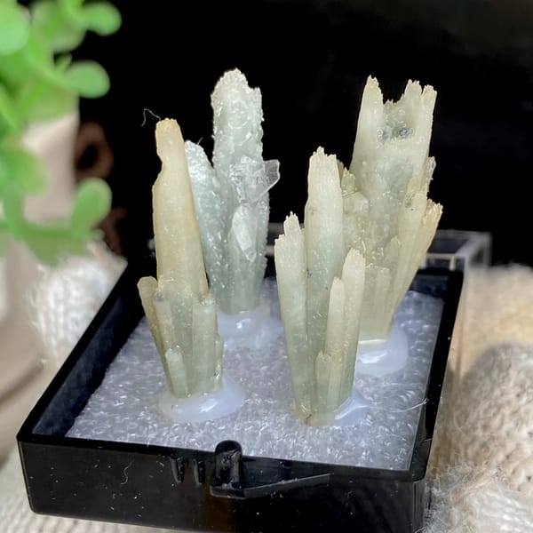 Four pale green quartz points in a display box from Shangbao — complete view