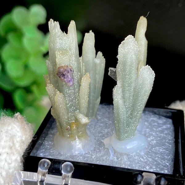 Four pale green quartz points in a display box from Shangbao — alternate view