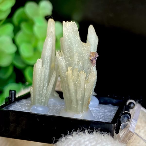 Four pale green quartz points in a display box from Shangbao — alternate view