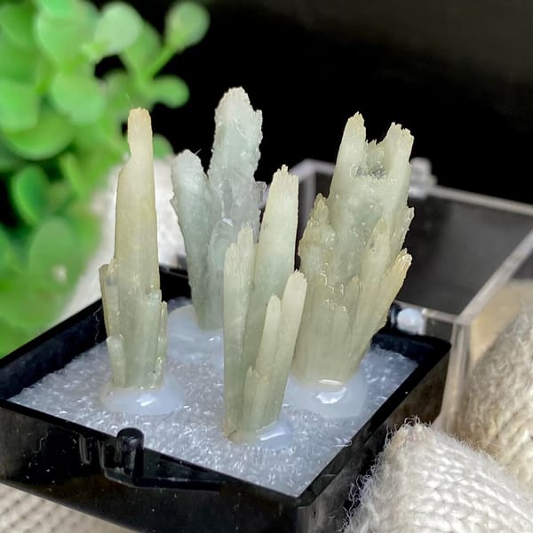 Four pale green quartz points in a display box from Shangbao — detail view