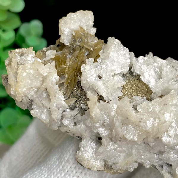 White dolomite crystals with golden-brown siderite — detail view
