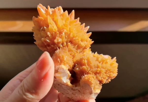 Complete side and reverse oblique view of the exact orange crystallized mineral specimen