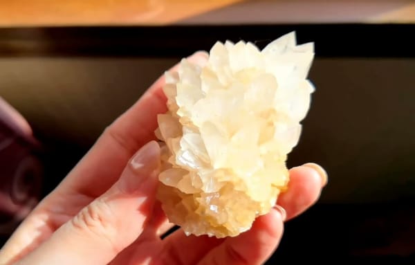 Complete side view of the exact Ivory Crystallized Stone Flower Cluster from Yunnan